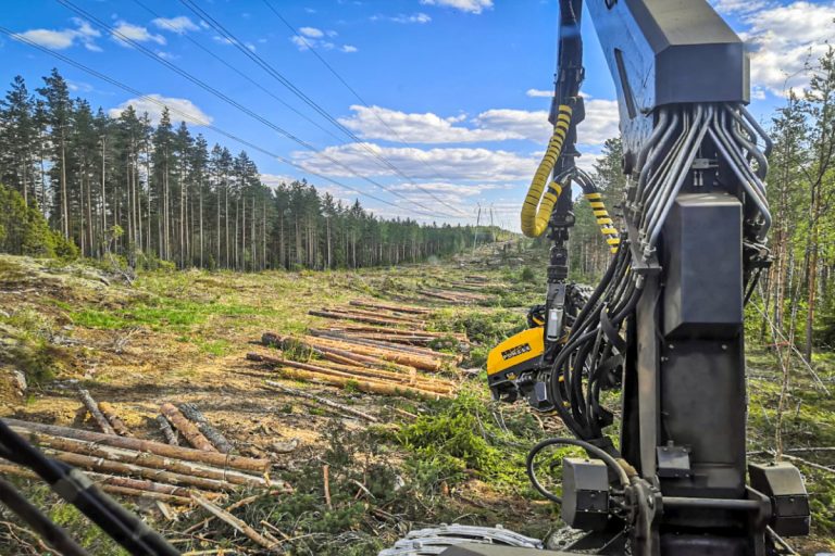 Metsäpalvelu Turunen - erikoishakkuut _poiminta Metsäpalvelu Turunen vaativatkin erikoishakkuut pysyvät hallinnassa