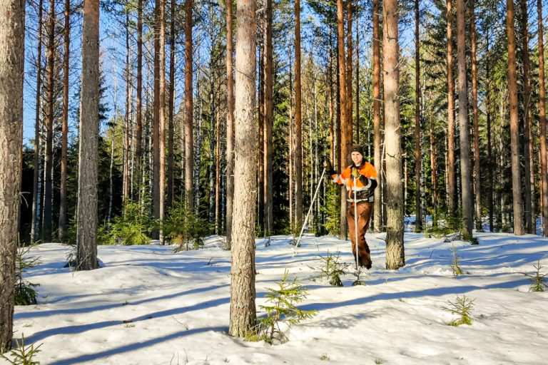 Metsäpalvelu Turunen - erikoishakkuut - rajalinjojen aukaisu Metsäpalvelu Turunen. Erikoishakkuut metsäammattilaisen toteuttamana