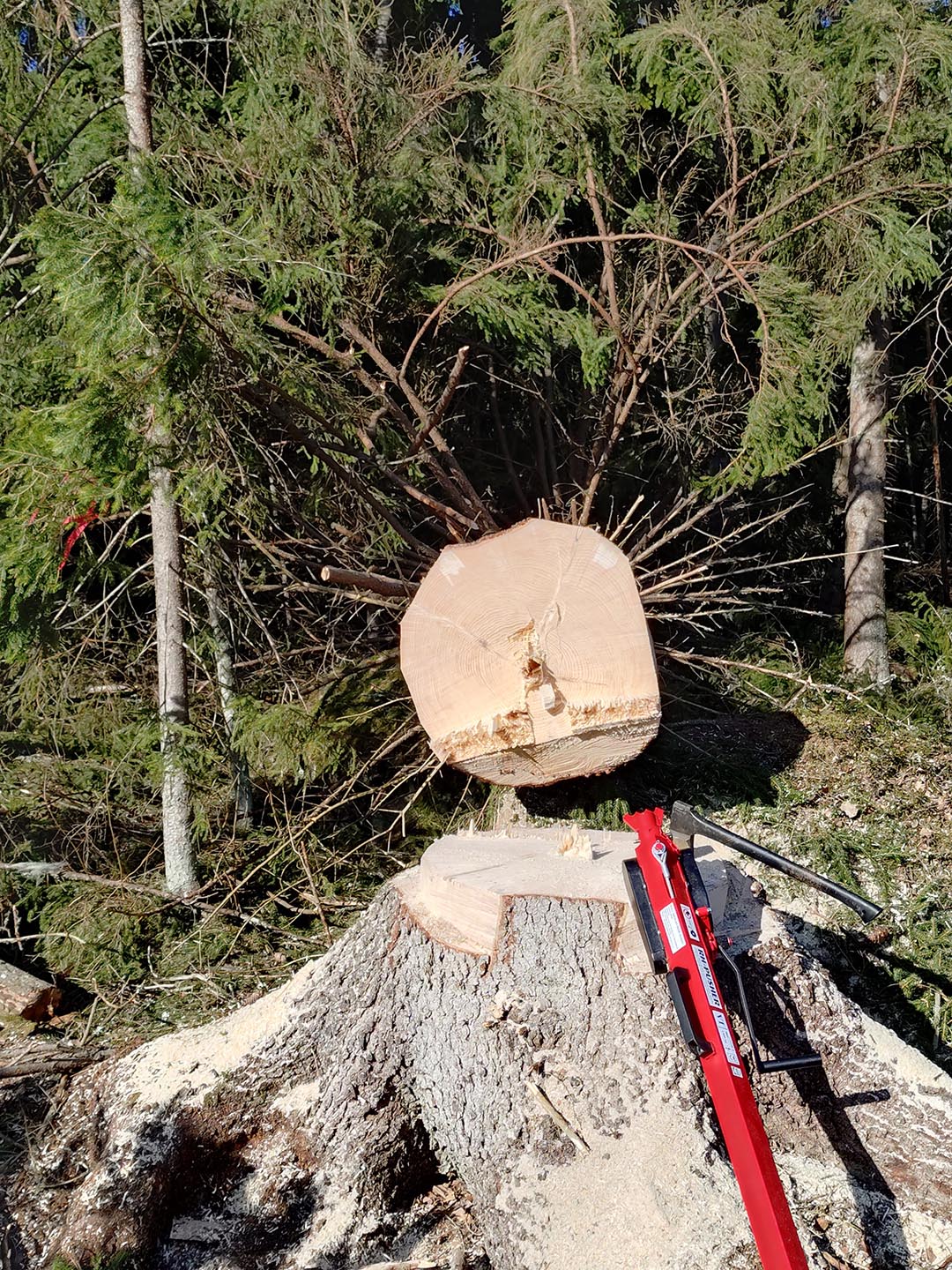 Kokonaisvaltainen metsänhoito avaimet käteen