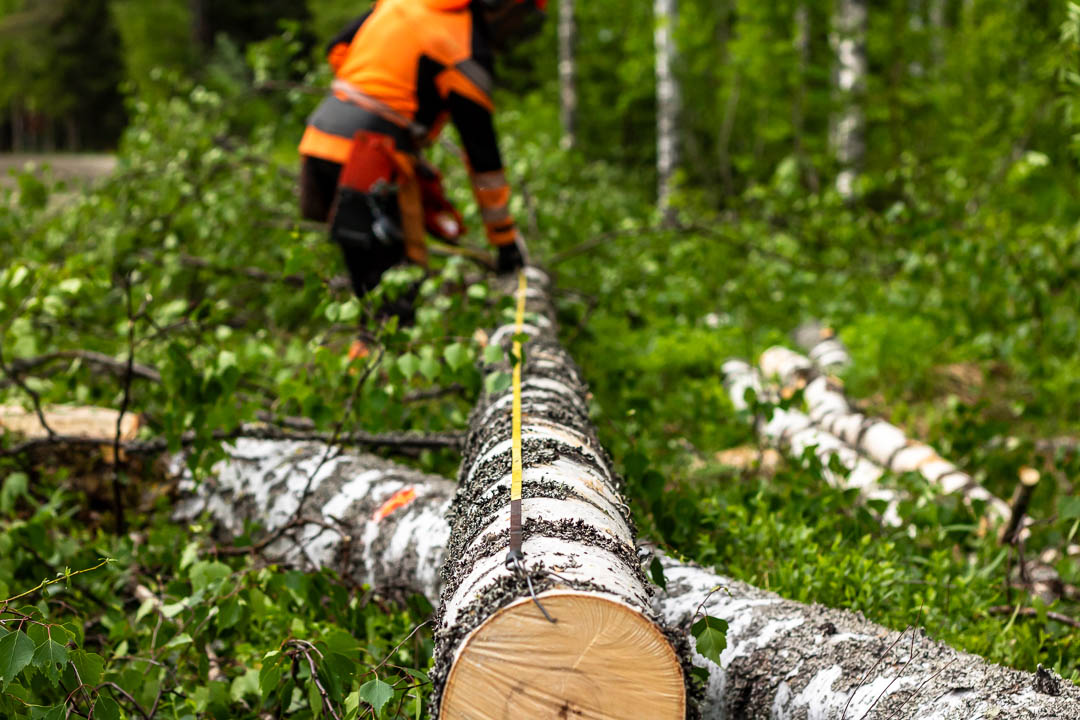 Metsapalvelu-Turunen-puukauppa ja hankkeet Metsäpalvelu Turunen, puukauppa ja hankkeet